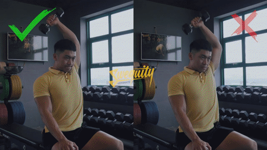 Seated Overhead Triceps Push With Dumbell